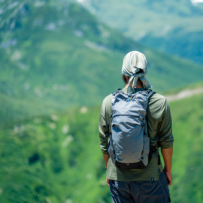 ZENN 25 (2025年モデル)